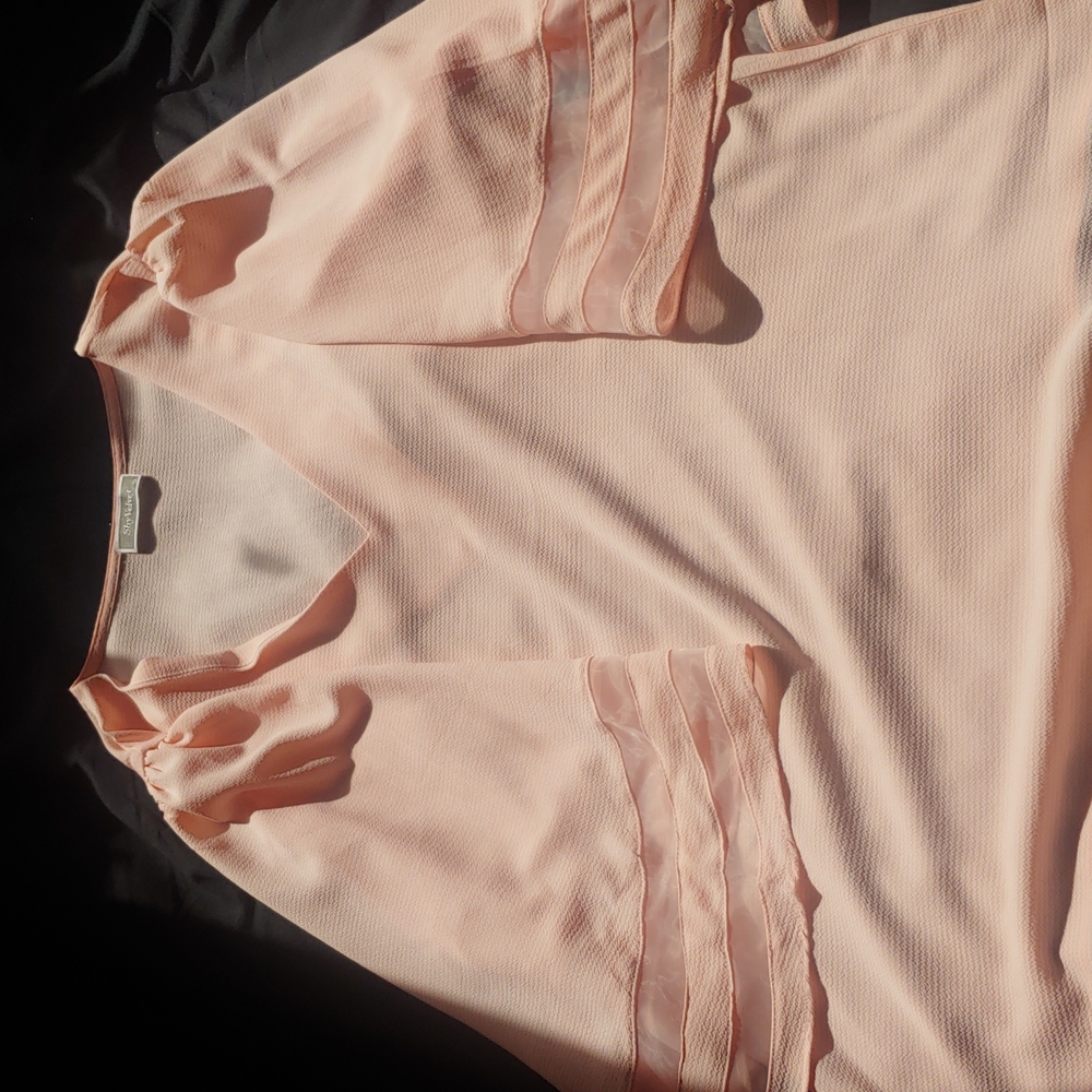 Shy Velvet Blouse Shirt Light Pink Butterfly Sleeves Flowey Women's Small